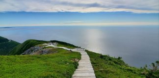 یکی از بهترین نقاط دنیا برای خواستگاری در کانادا