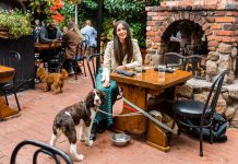 راهنمای سفر ۴۸ ساعته به کارمل کالیفرنیا