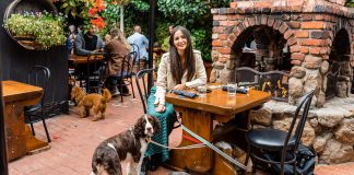 راهنمای سفر ۴۸ ساعته به کارمل کالیفرنیا