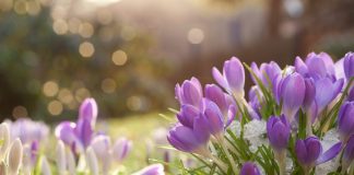 پیشبینی آبوهوای آلبرتا برای ماه آوریل