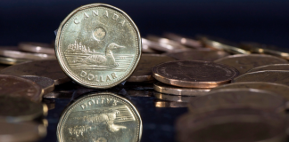 به اوج رسیدن شکاف میان طبقات درآمدی جامعه کانادا