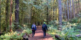 بهترین مسیرهای پیادهروی کمارتفاع در مترو ونکوور