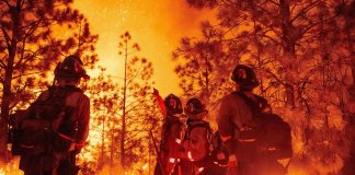 بحران کمبود نیروی آتشنشان در آلبرتا