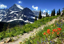 شش مسیر پیادهروی جذاب و پرمنظره در اطراف کلگری