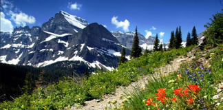 شش مسیر پیادهروی جذاب و پرمنظره در اطراف کلگری