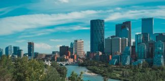 بهترین فرصتهای شغلی کلگری برای شهروندان جدید