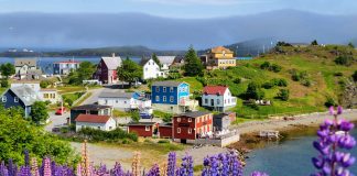 پرواز رفتوبرگشت از کلگری به نیوفاوندلند تنها 281 دلار