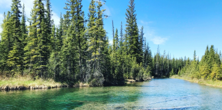 فرار از شلوغی شهر کلگری در پارک گریفیت وودز