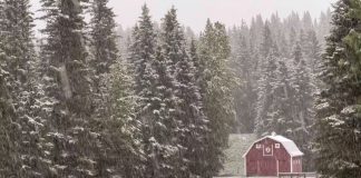 بارش برف برخی نواحی آلبرتا را سفیدپوش کرد