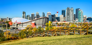 بهترین نقاط کلگری برای انجام تمرین پله