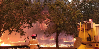 آتشسوزی بسیار گسترده در پارک ملی جسپر