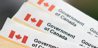 تکمیل خودکار پرونده مالیاتی با سرویس جدید آژانس درآمد