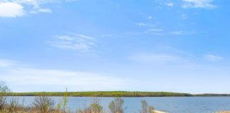 آلودگی آبهای دو دریاچه آلبرتا به باکتری فیکال