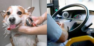 معرفی مشاغل جذاب اما کمطرفدار استان آلبرتا