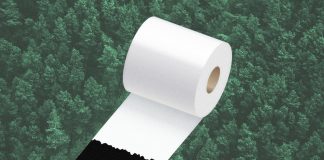 مصرف بالای دستمال توالت و آثار زیانبار زیستمحیطی آن