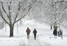 پیشبینی بلندمدت آبوهوای آلبرتا برای زمستان 2025