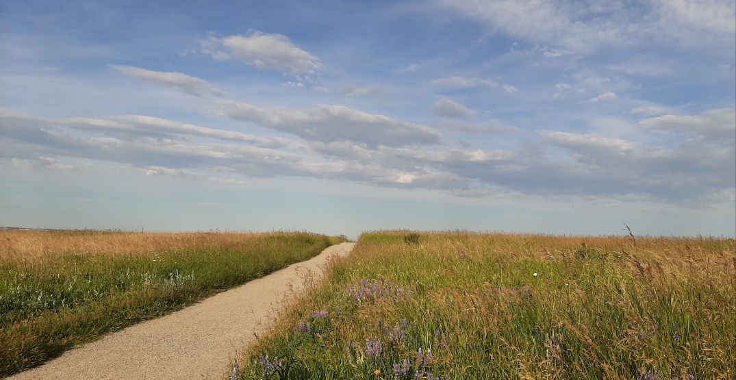 پارکهای دیدنی کلگری که نباید از دست دهید