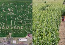 آشنایی با پنج هزارتو جذاب در نزدیکی کلگری