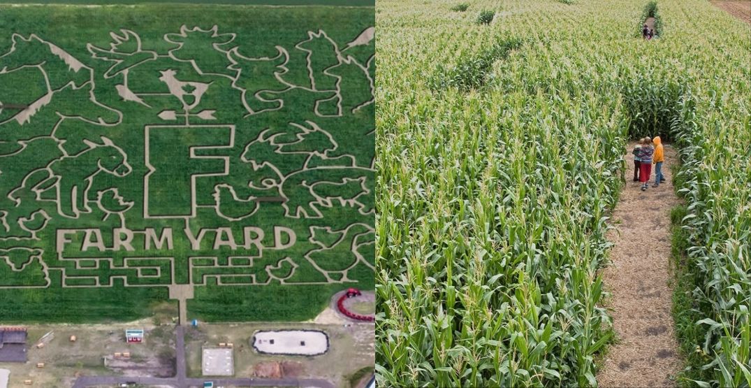 آشنایی با پنج هزارتو جذاب در نزدیکی کلگری