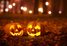 جاذبههای پاییزی و هالووینی کلگری و ادمونتون