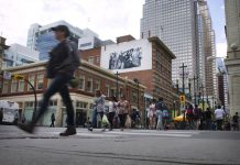 بهترین صنعت پررونق کلگری برای کارجویان