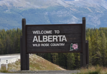 نرخ بالای بیکاری جوانان و مهاجران تازهوارد در آلبرتا