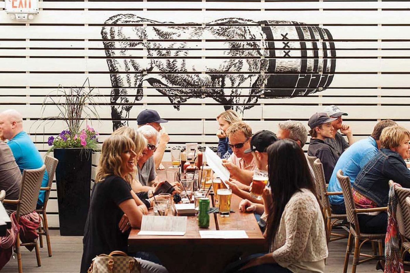 بهترین پاسیوهای سرپوشیده و گرم کلگری