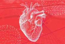کووید احتمال بروز حمله قلبی را دو برابر میکند