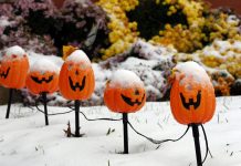 پیشبینی هواشناسی شهر کلگری برای هالووین