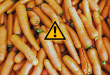 مراقب هویجهای آلوده به باکتری ایکولای باشید