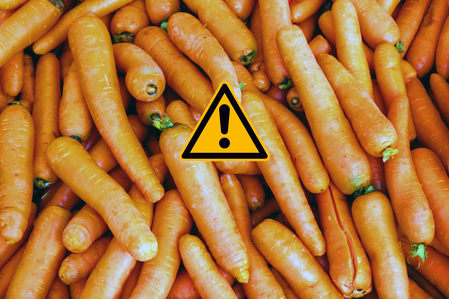 مراقب هویجهای آلوده به باکتری ایکولای باشید