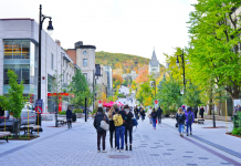 اجرای محدودیتهای شغلی جدید برای دانشجویان خارجی