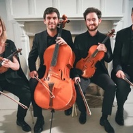 QUATUOR COBALT II