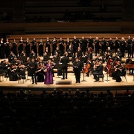 LES VIOLONS DU ROY - LES CANTATES DE BACH | CONCERT DE CLÔTURE