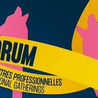HOW TO NAVIGATE THE CANADIEN AUDIOVISUEL INDUSTRY?