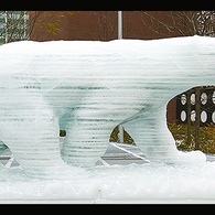 POLAR BEAR ON THIN ICE