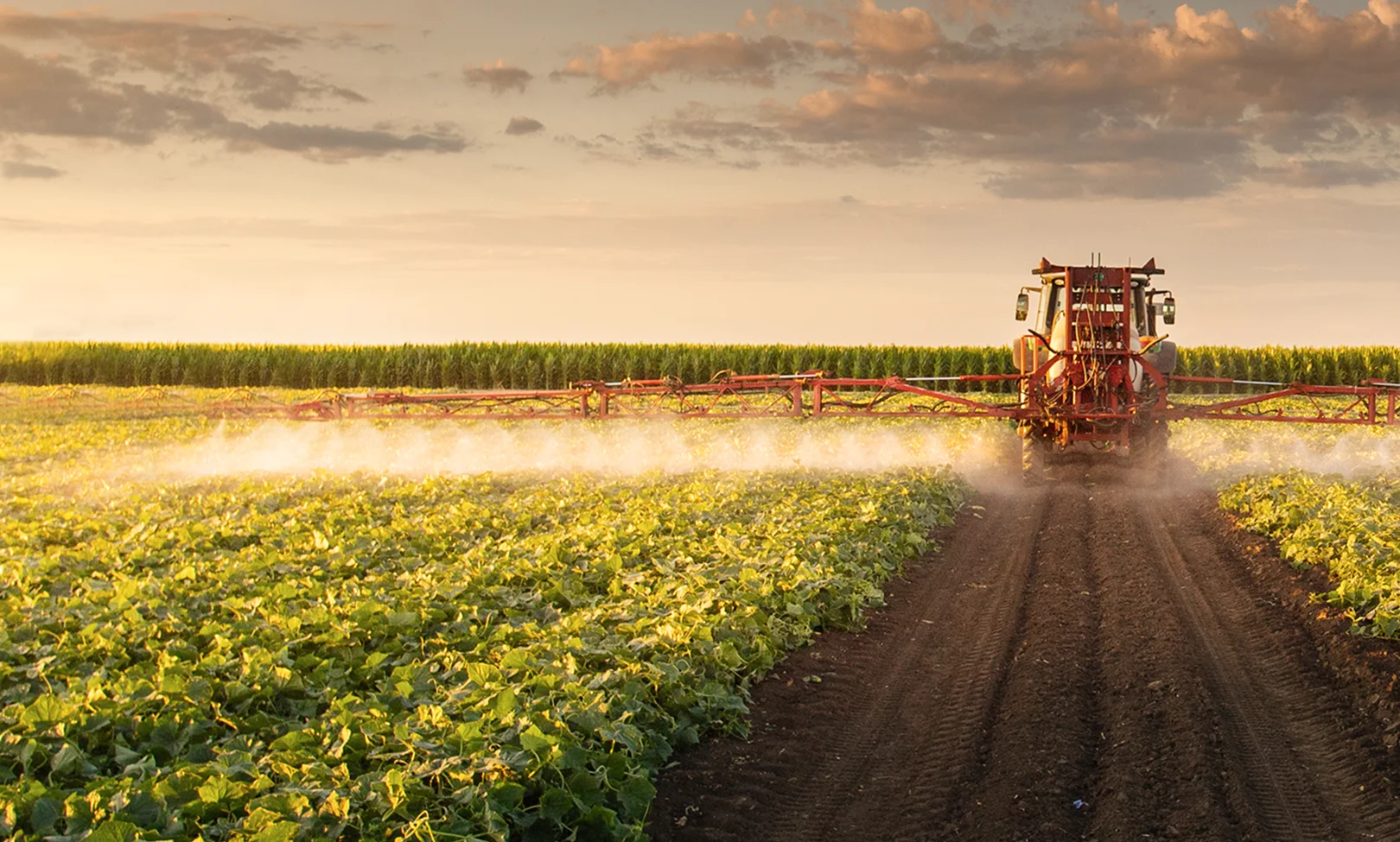 Agriculture Insurance