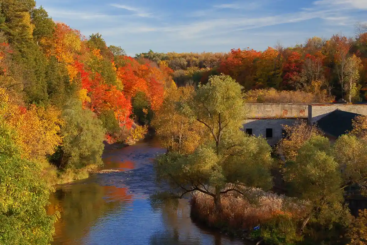 Fall trees and water in Georgetown Ontario