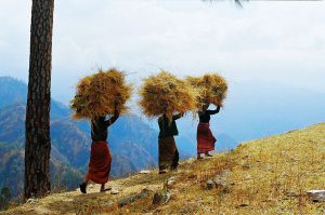 Sejour dans l'himalaya