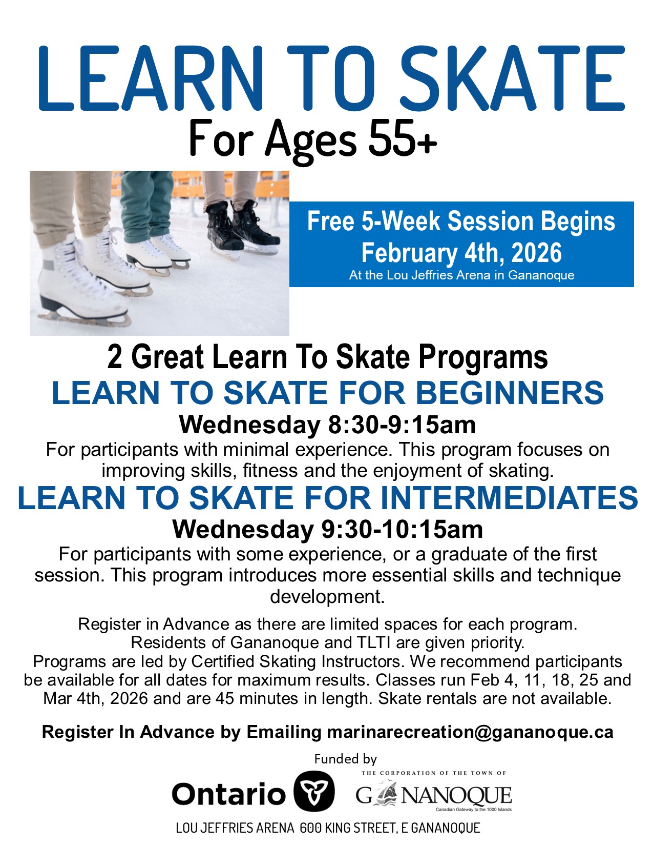 Learn to Skate Poster