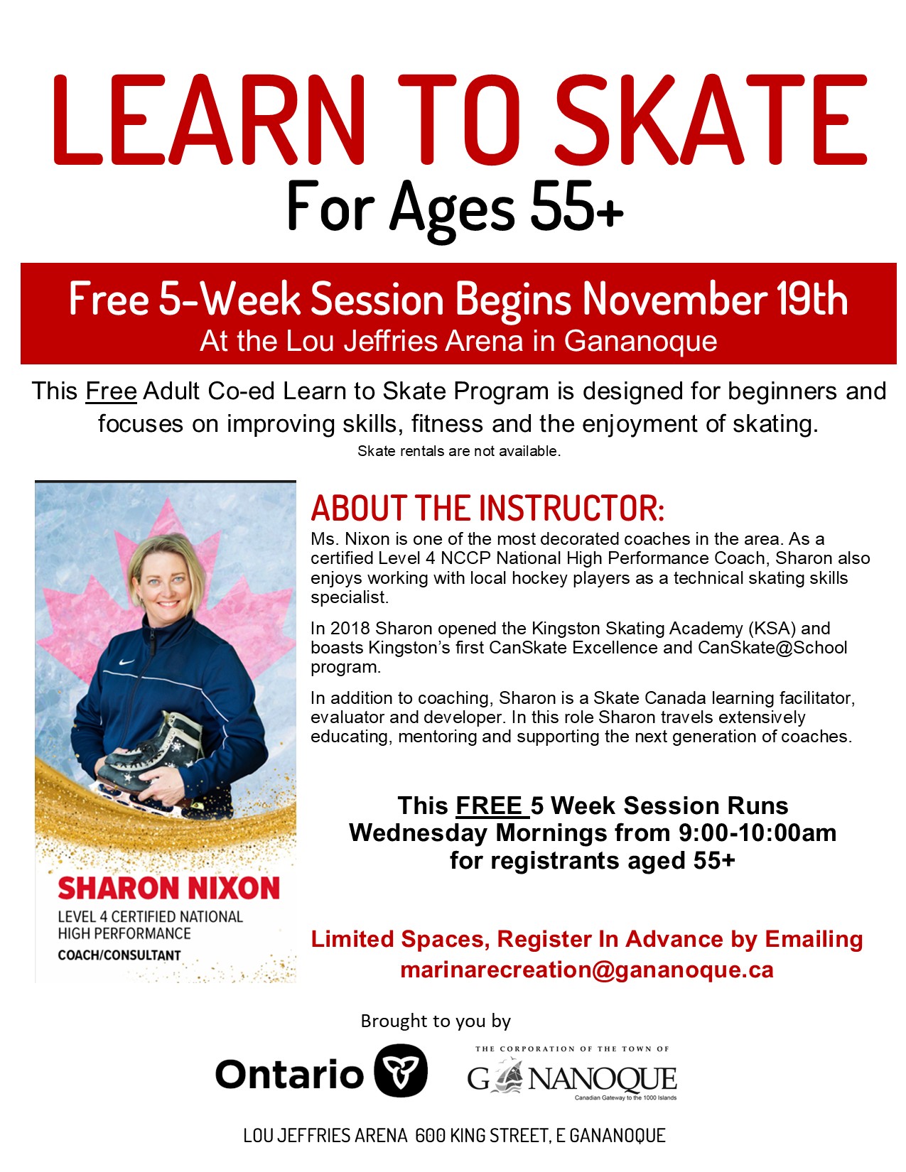 Learn to Skate Poster
