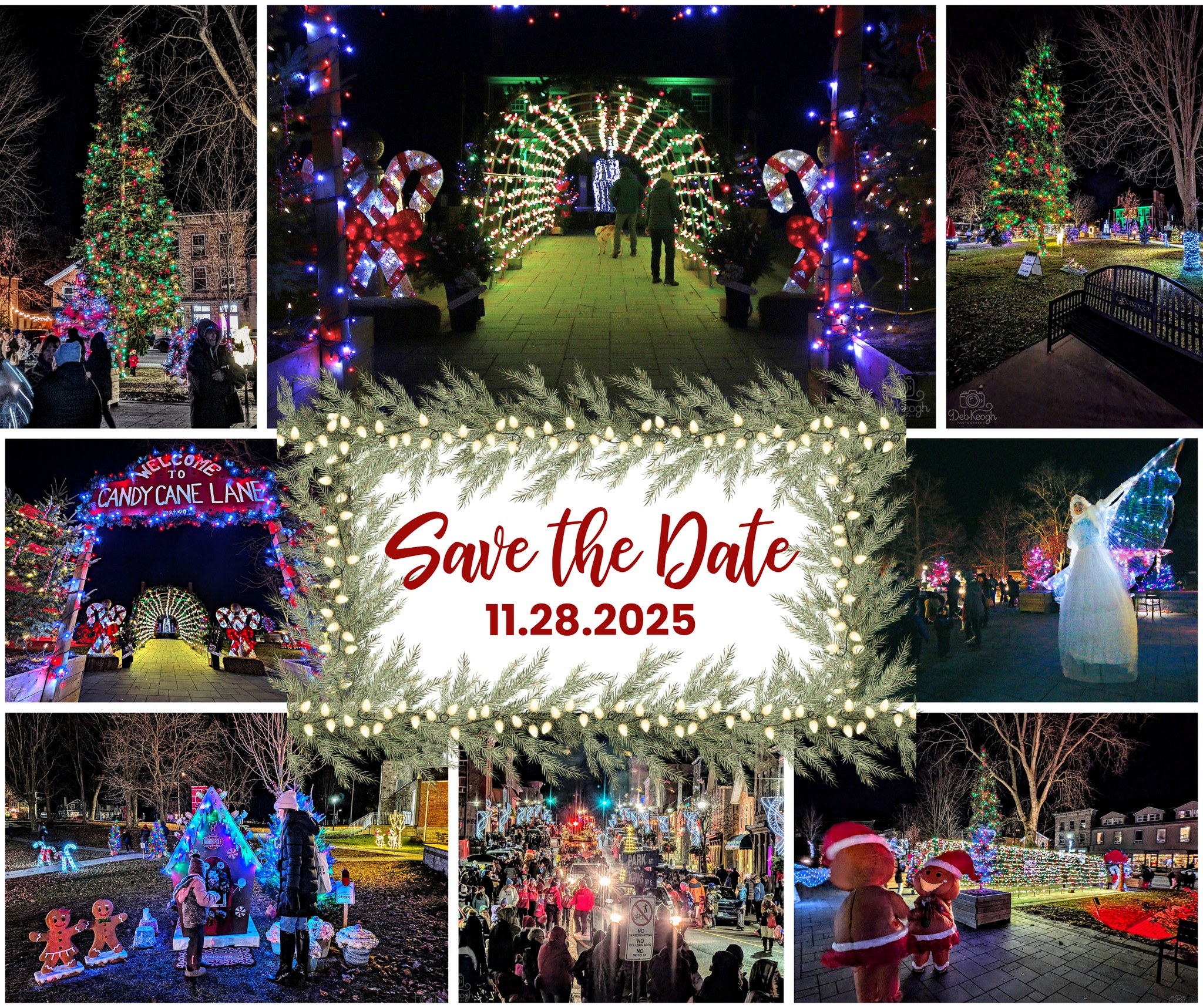 Festival of Lights Logo