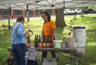 Cathy's Kombucha