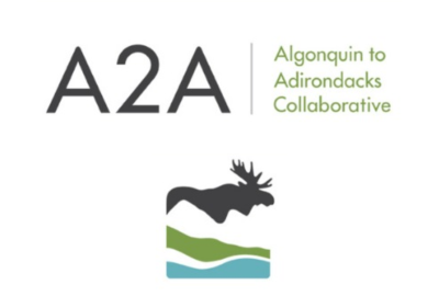 Algonquin to Adirondacks Collaborative