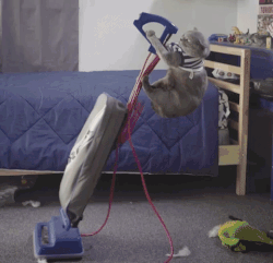 11 Reasons To Join The #GOODWILLCHALLENGE 1 clean up cleaning GIF by Bubble Witch downsized