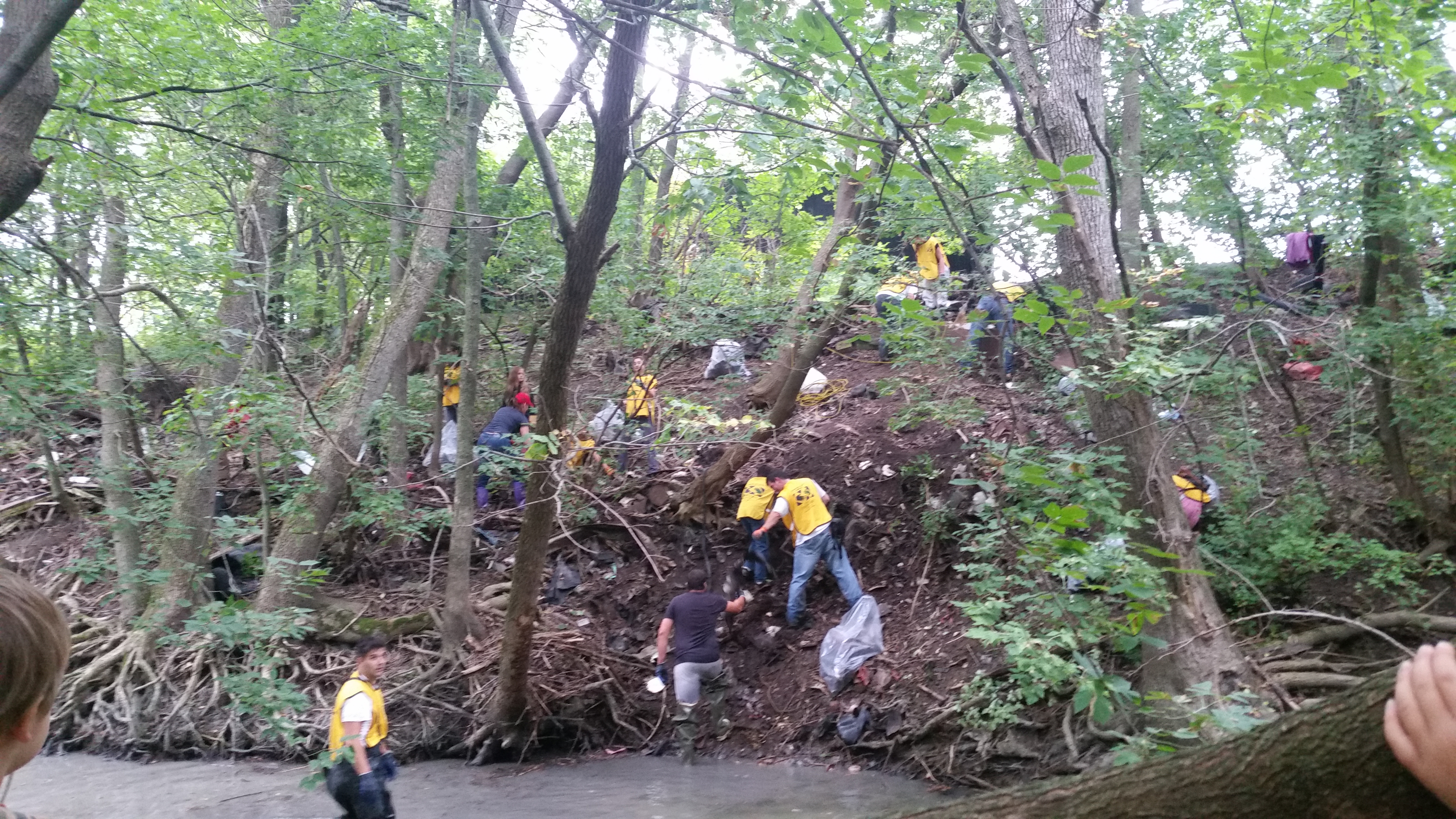 Nettoyage des berges de la rivière Saint-Jacques