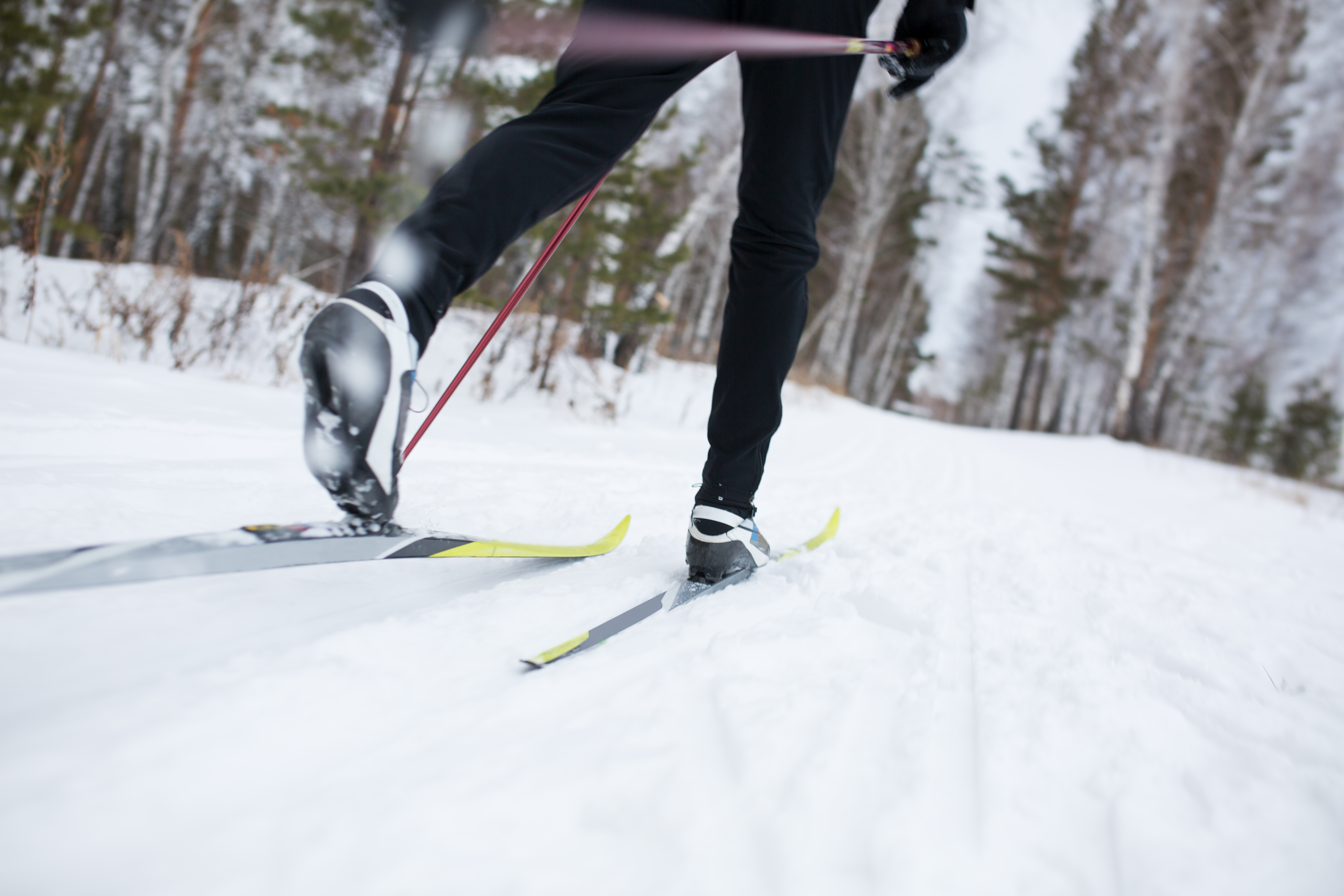 Les pistes de ski de fond sont praticables à La Prairie