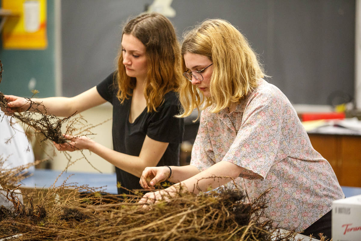 Les élèves de la Magdeleine distribuent des arbres dans les écoles
