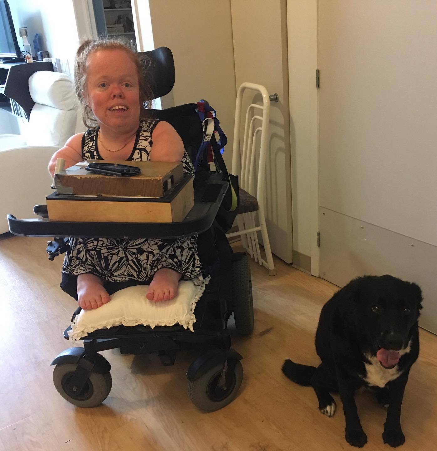 Pétition pour indemniser les chiens d’assistance victimes d’accident