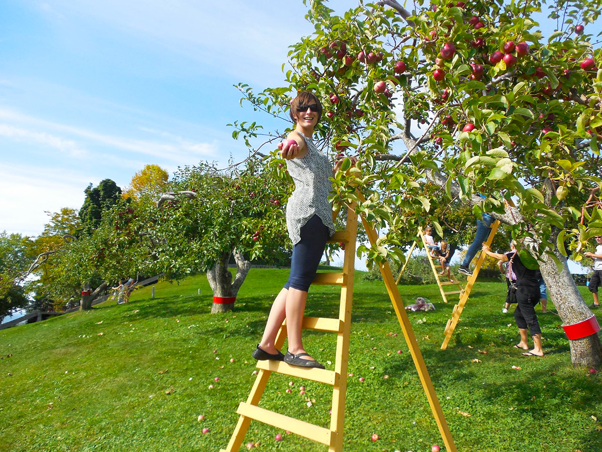 De belles activités pour la famille cet automne à l’île Saint-Bernard
